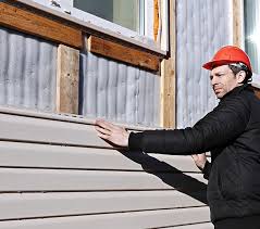 Best Steel Siding Installation  in Pingree Grove, IL